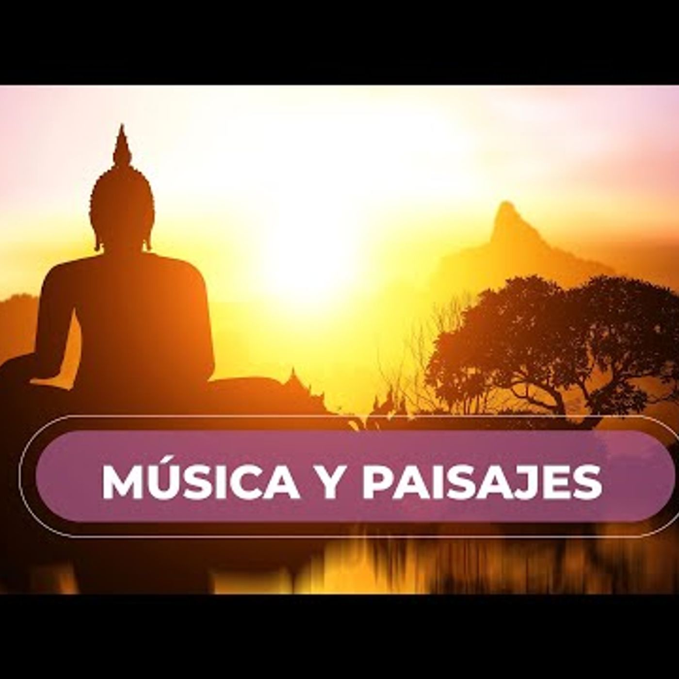 Música Relajante & Paisajes Hermosos 💜 Míralo Antes de Dormir