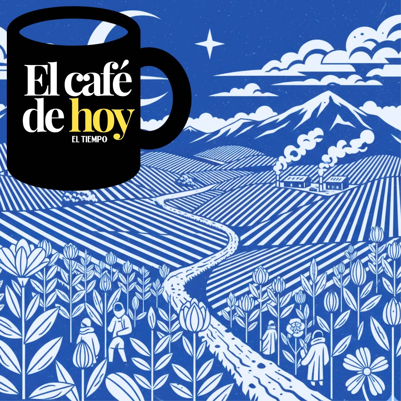 Narcocultivos: el presidente reconoce aumento pero insiste en error de mediciones de la Unodc