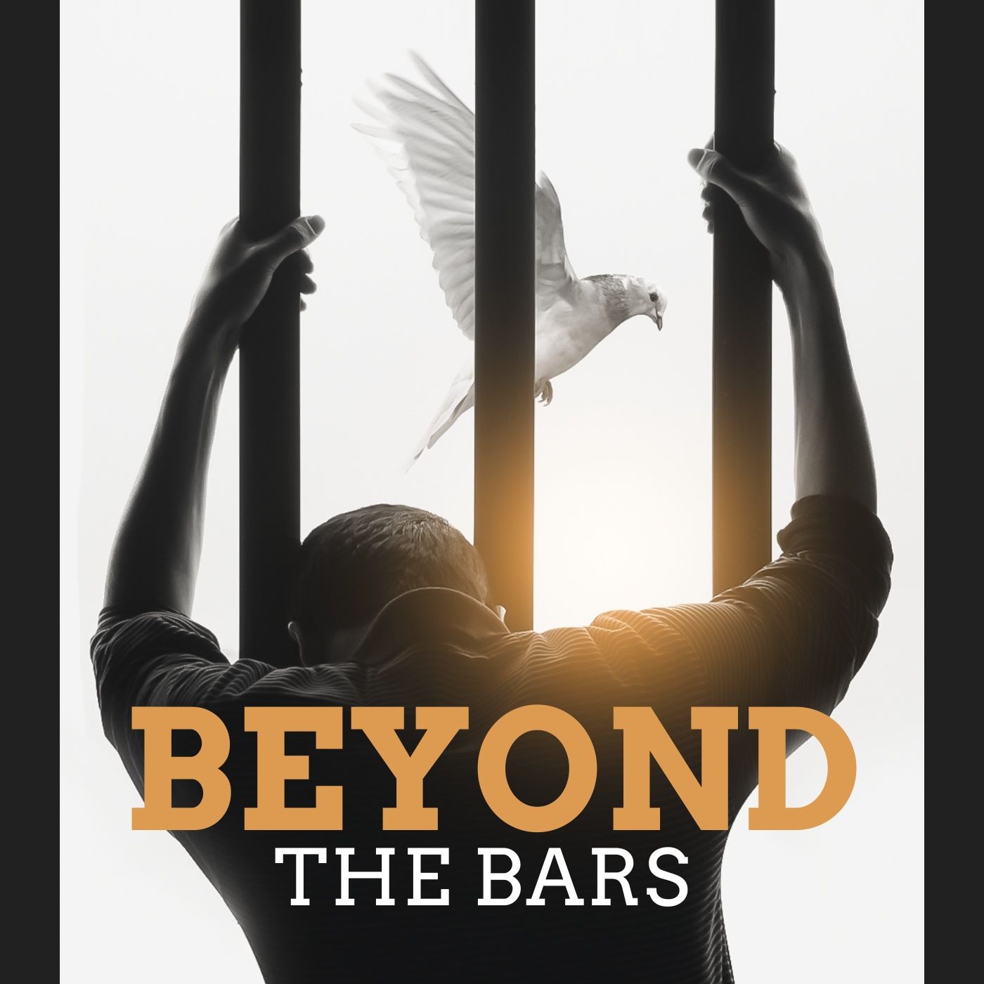 Beyond the Bars Image