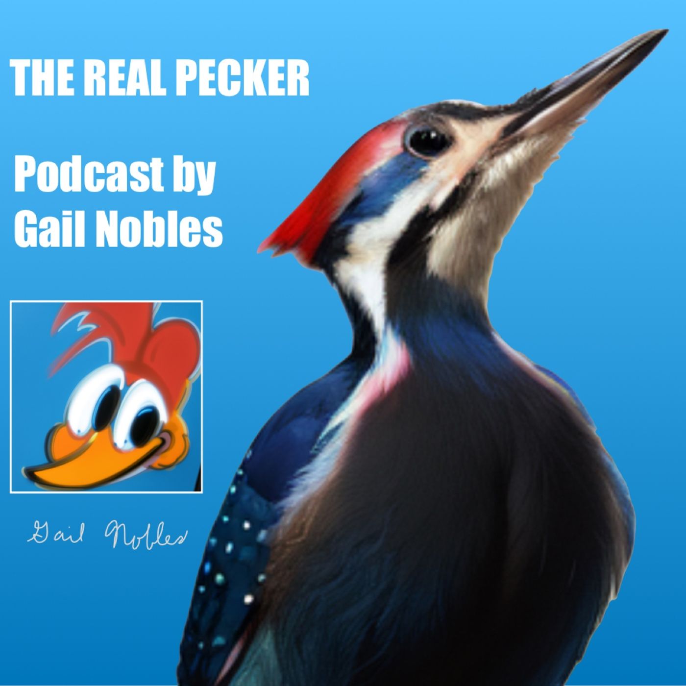 The Real Pecker 9:23:23 5.29 PM episode artwork