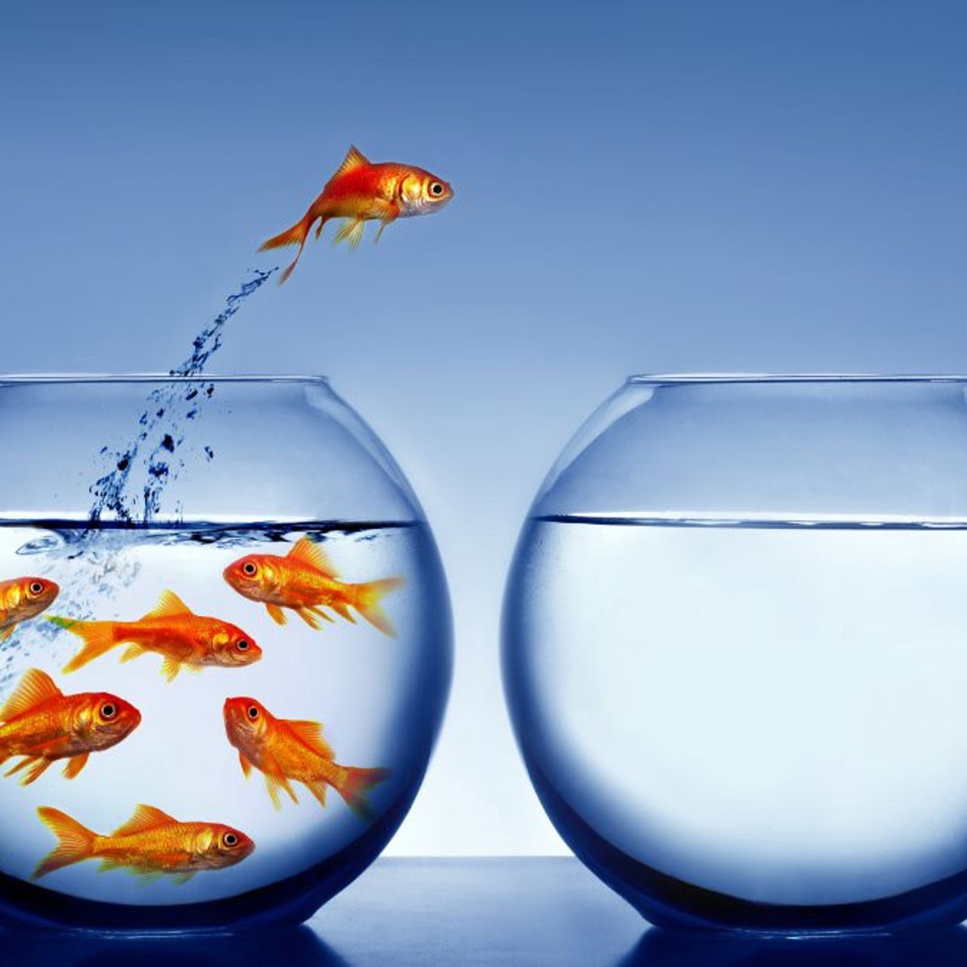 EP 11. How to think outside the box?