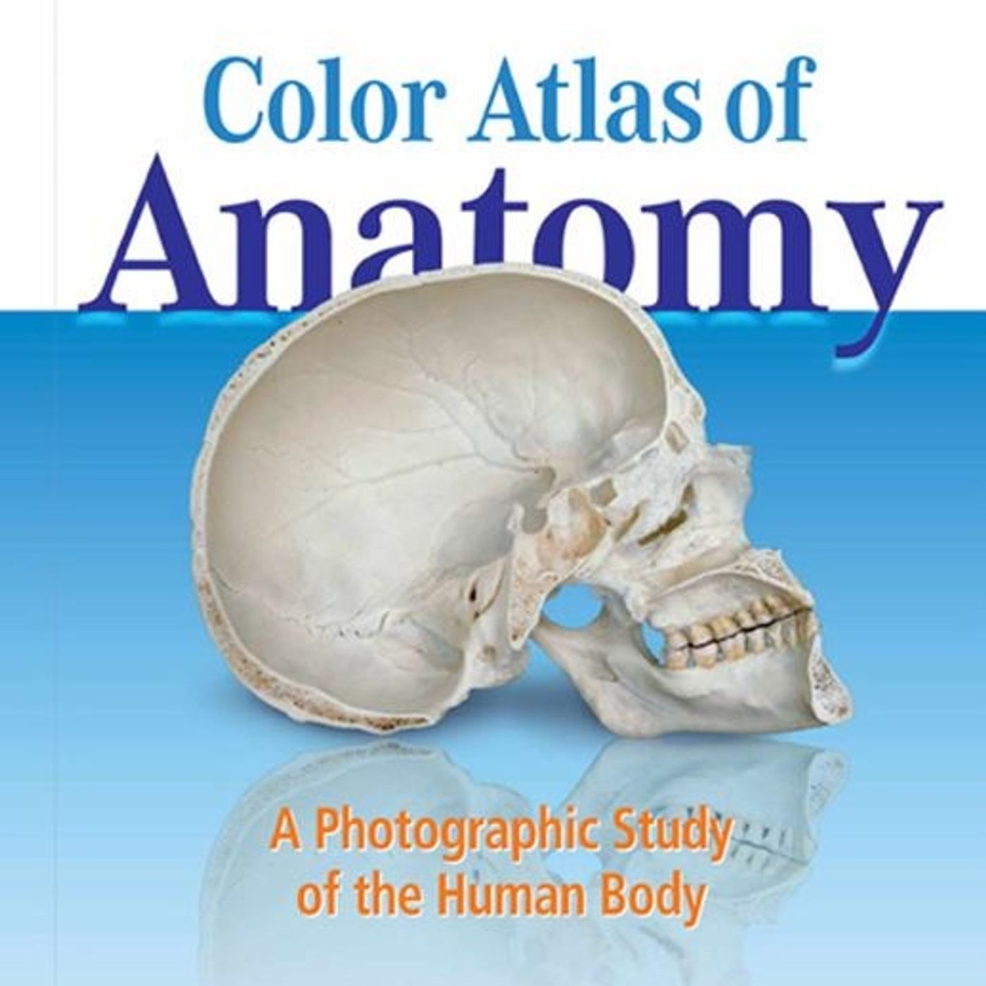 Color Atlas of Anatomy: A Photographic Study of the Human Body