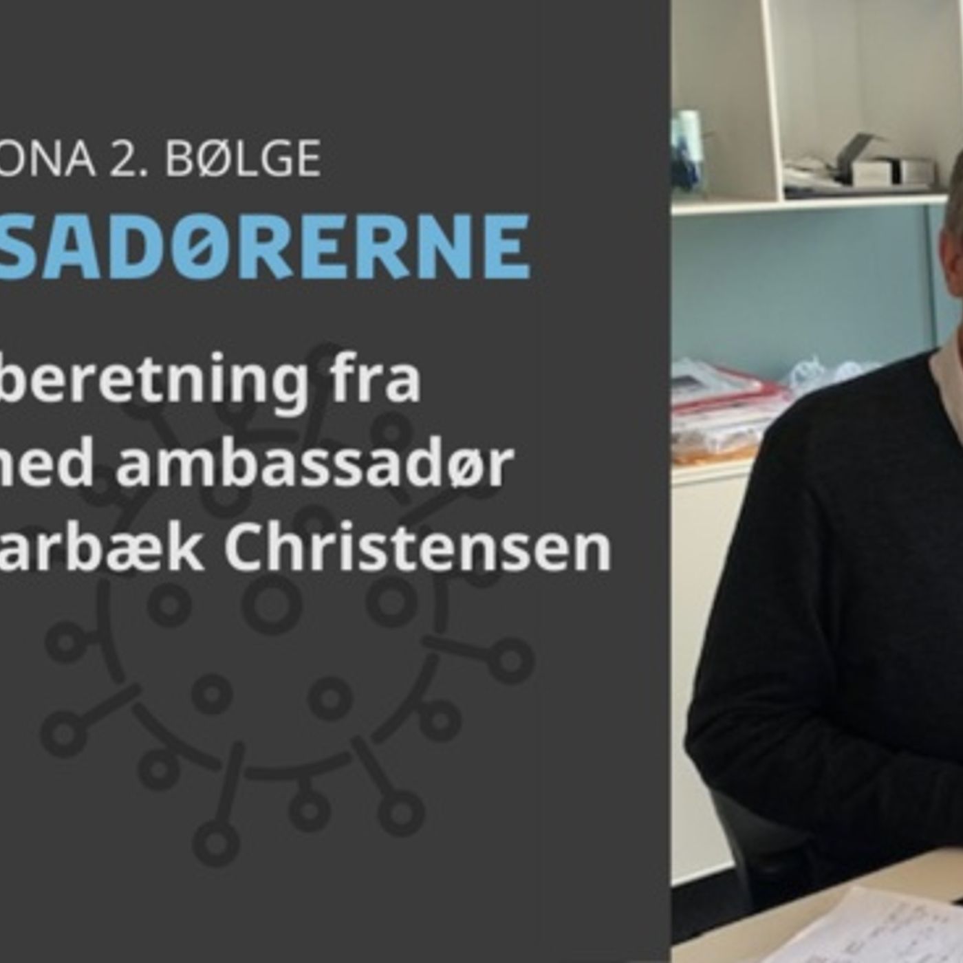 Ambassadørerne