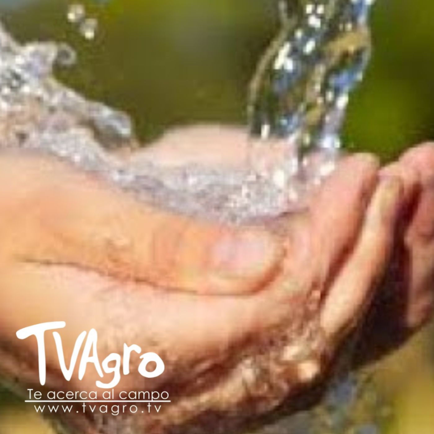 TV AGRO