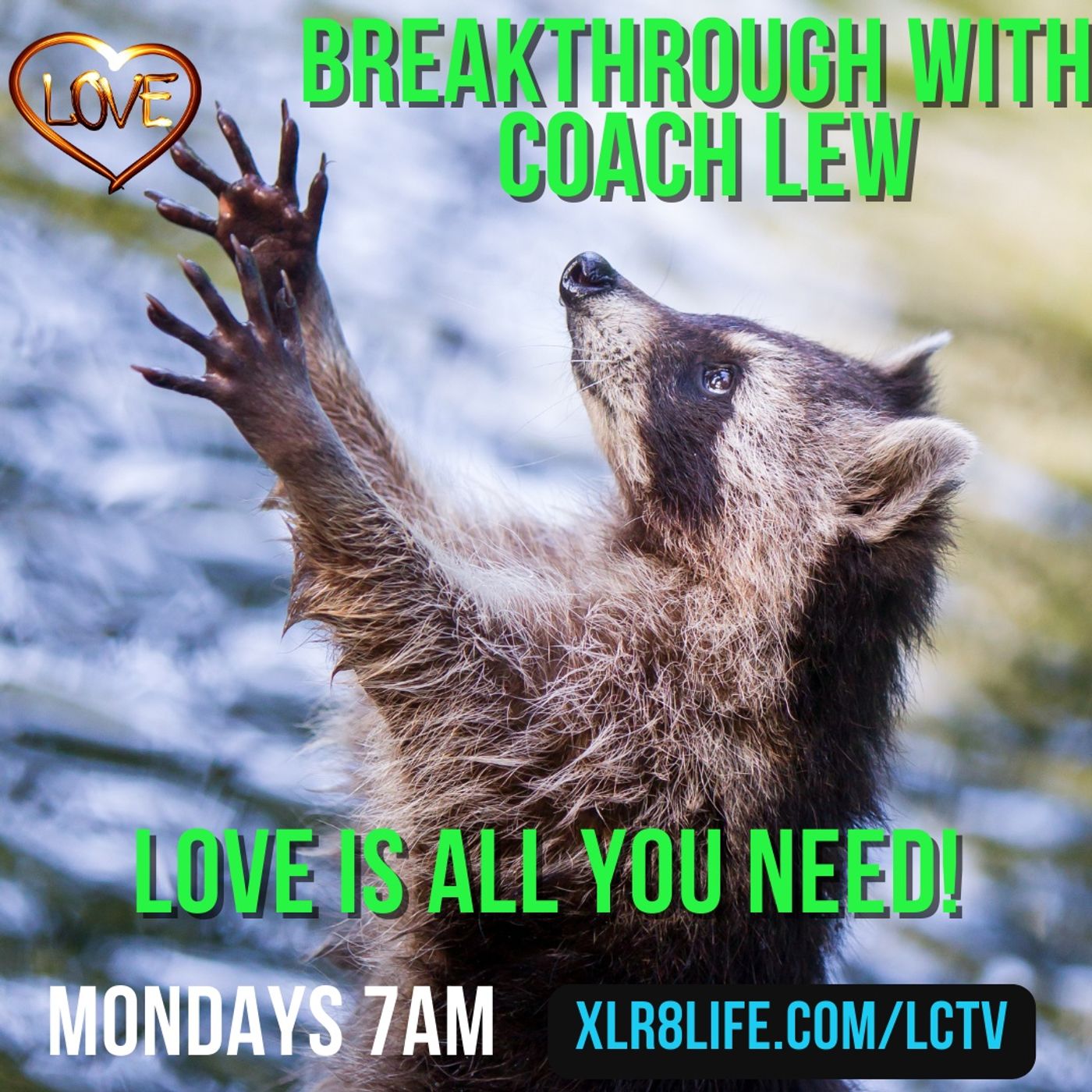 Love is all you need episode artwork