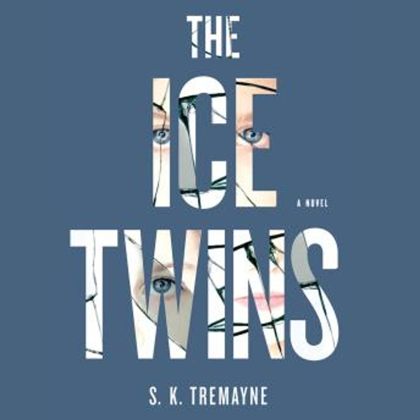 The Ice Twins: A Novel by S.K. Tremayne episode artwork