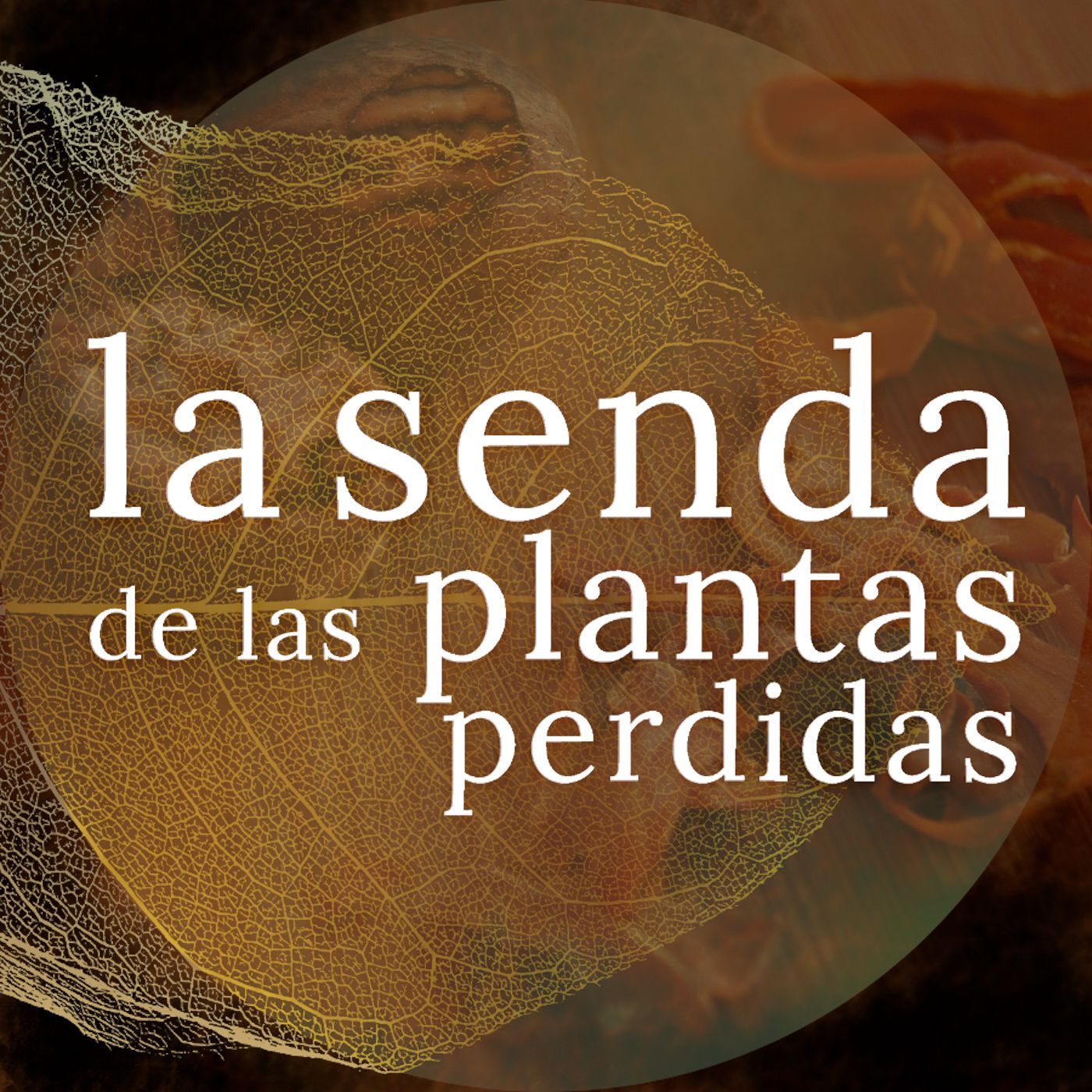La Senda de las Plantas Perdidas