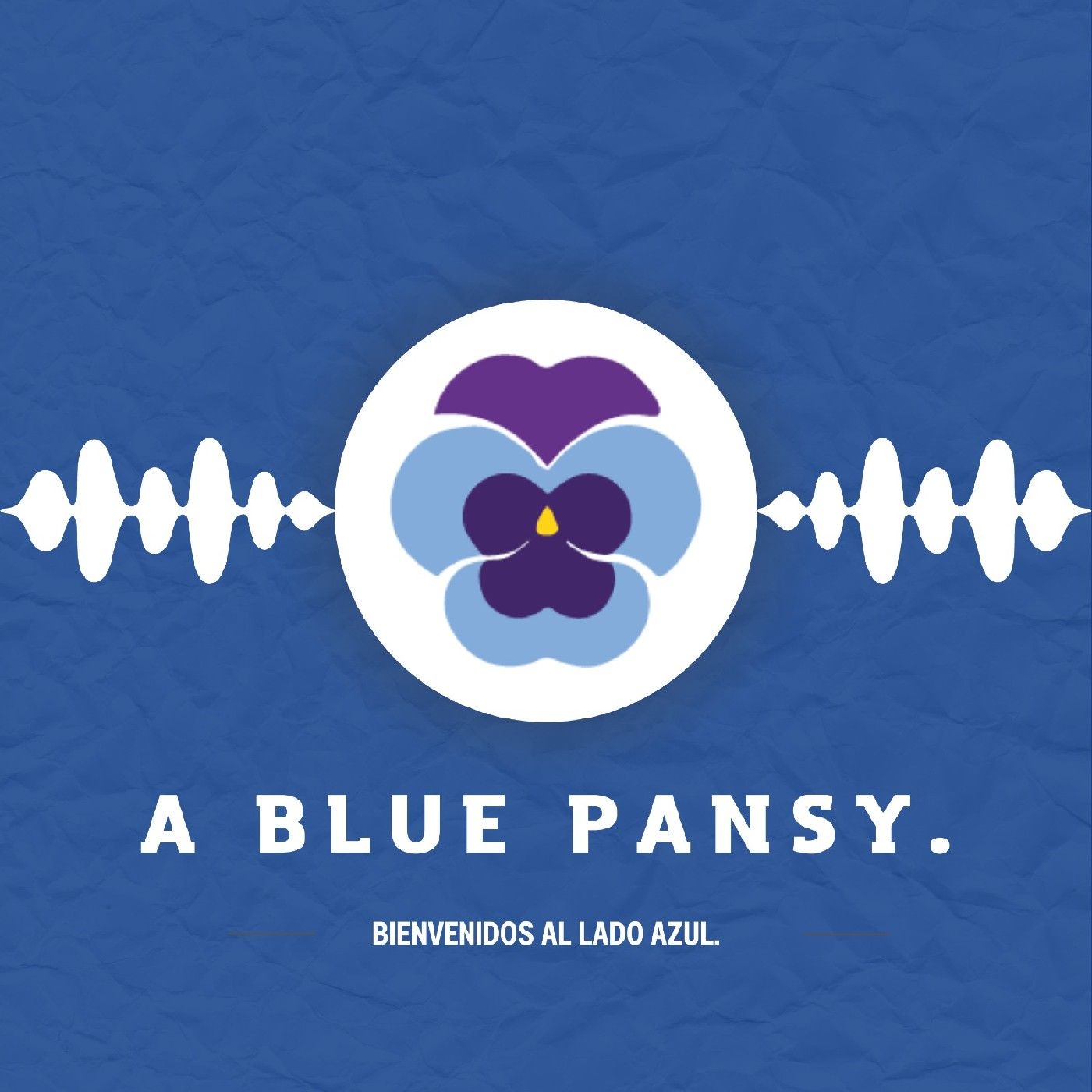 A Blue Pansy.