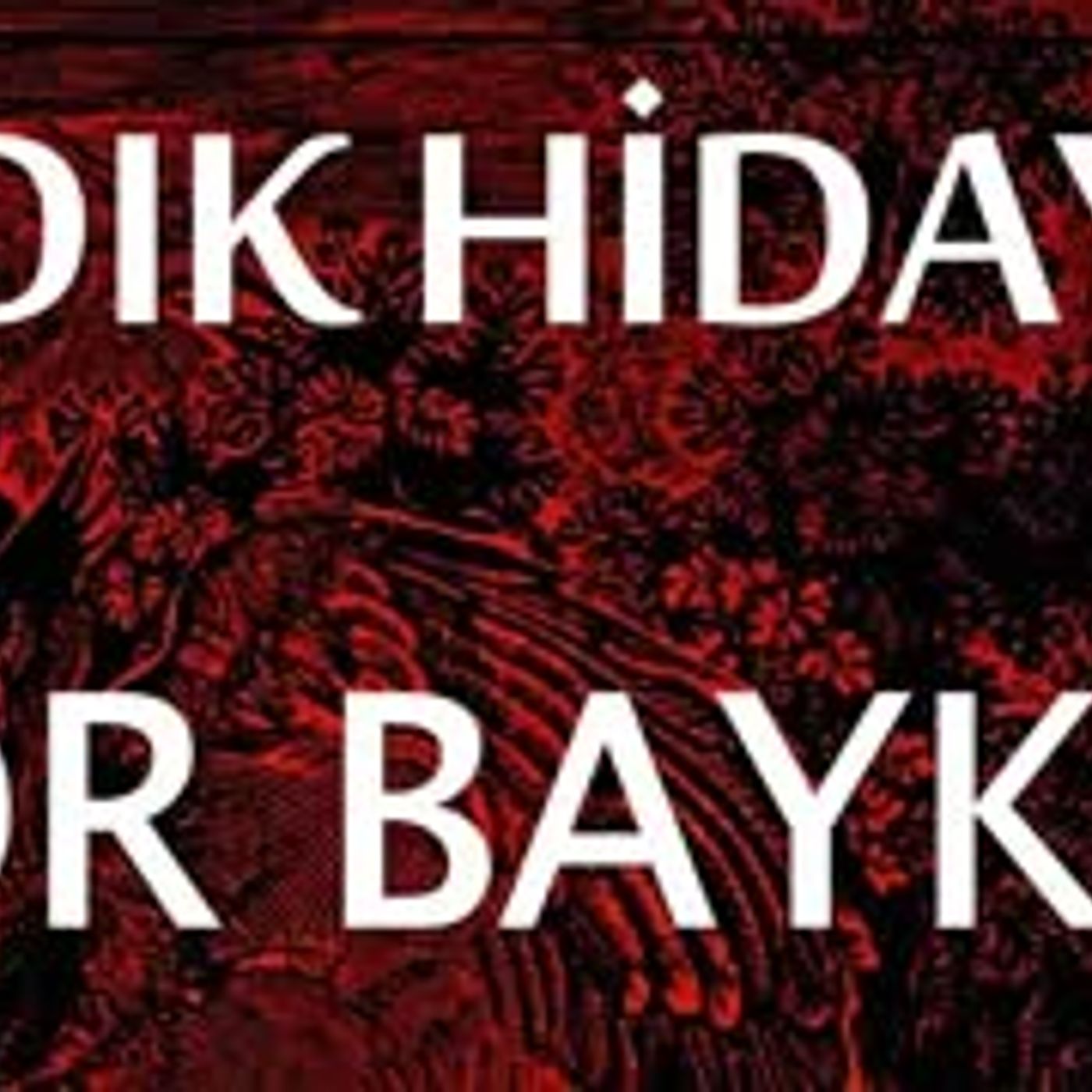 Kitap Okumaları