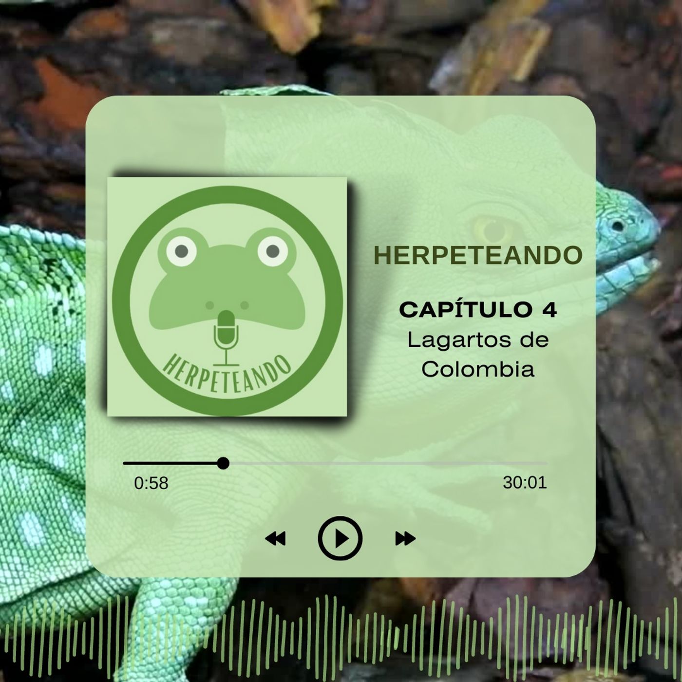 Capitulo 4 Lagartos