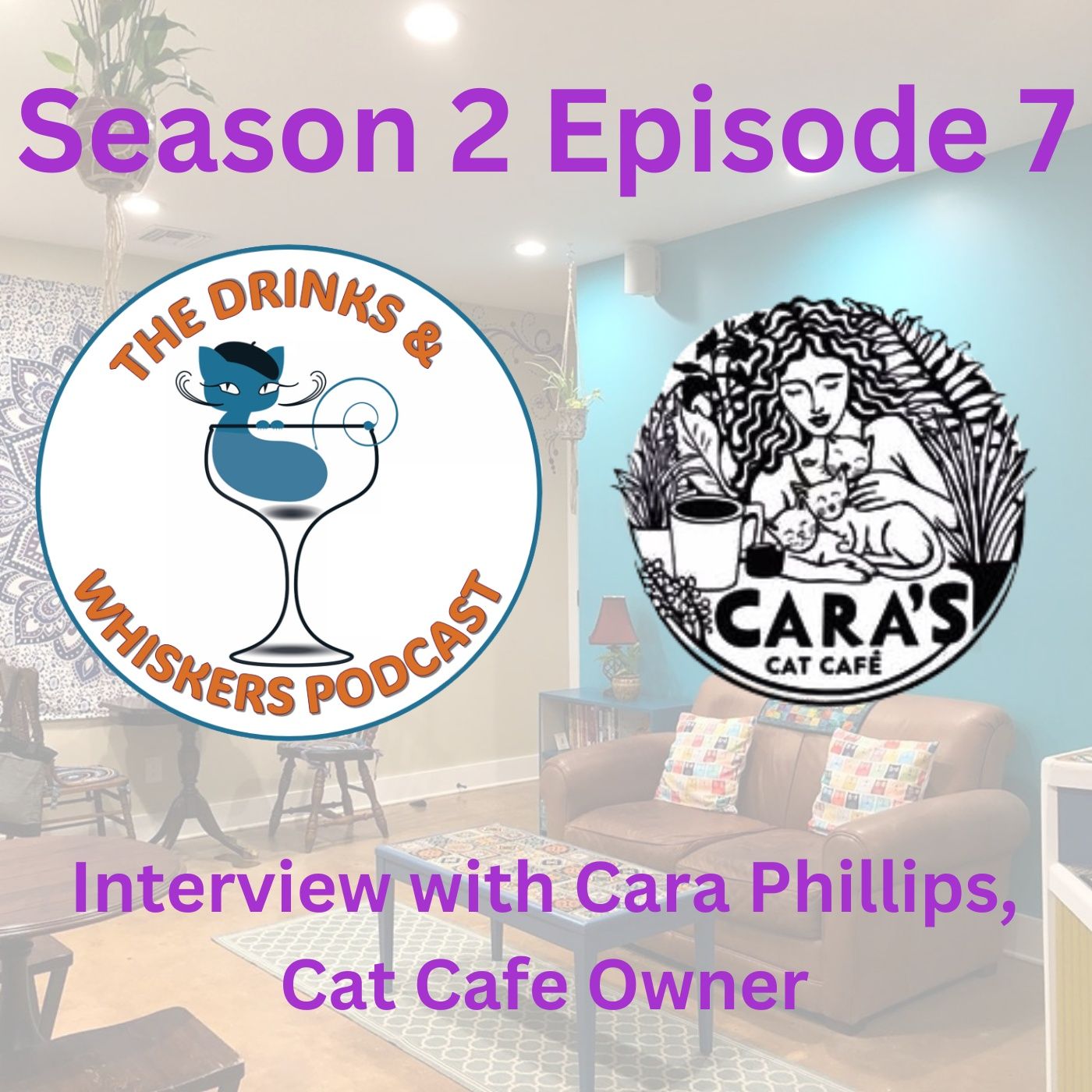 The Drinks & Whiskers Podcast