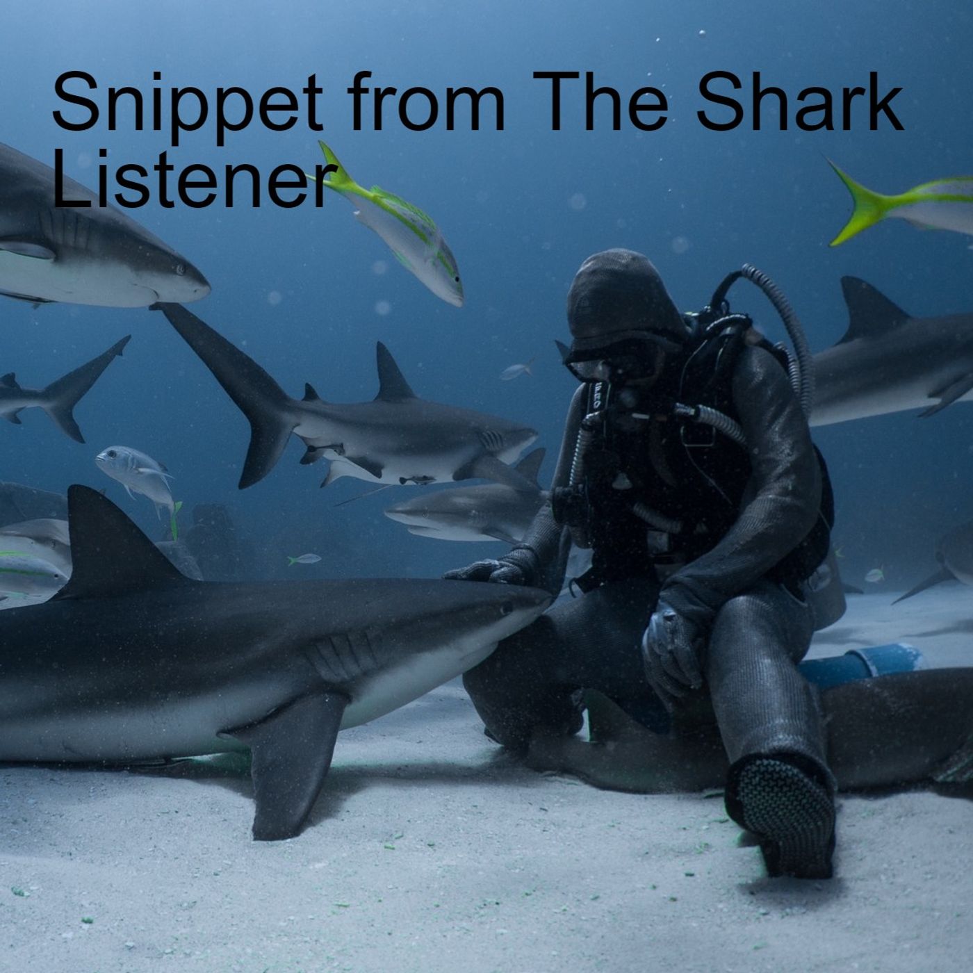 Snippet from The Shark Listener episode artwork