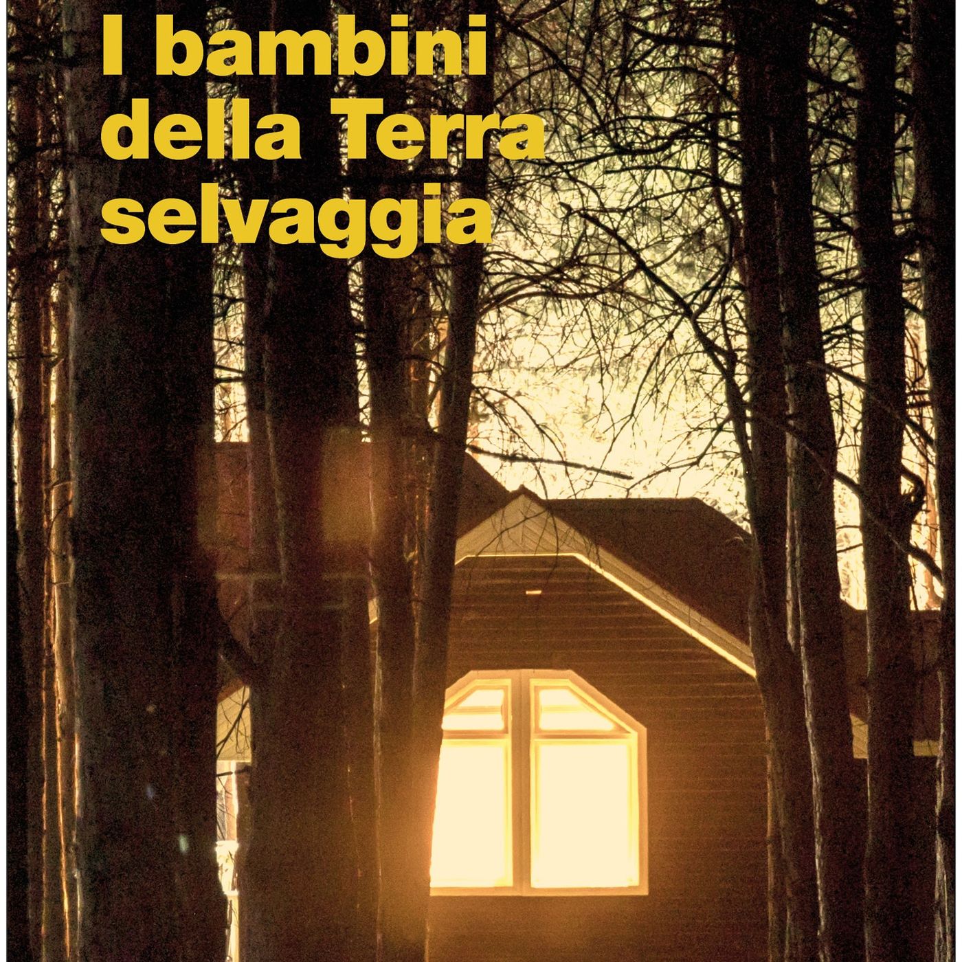 David Santoro "I bambini della Terra selvaggia" Auke Hulst