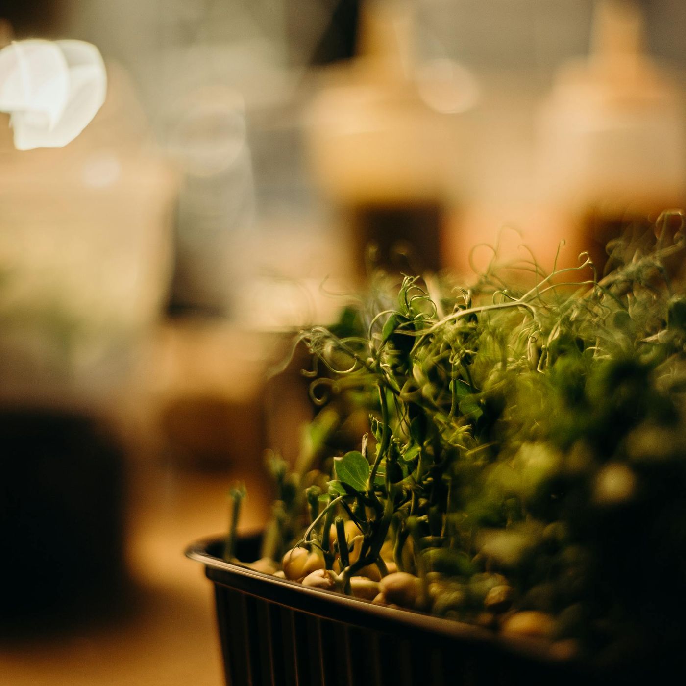 L\'alimentazione by Elisabetta