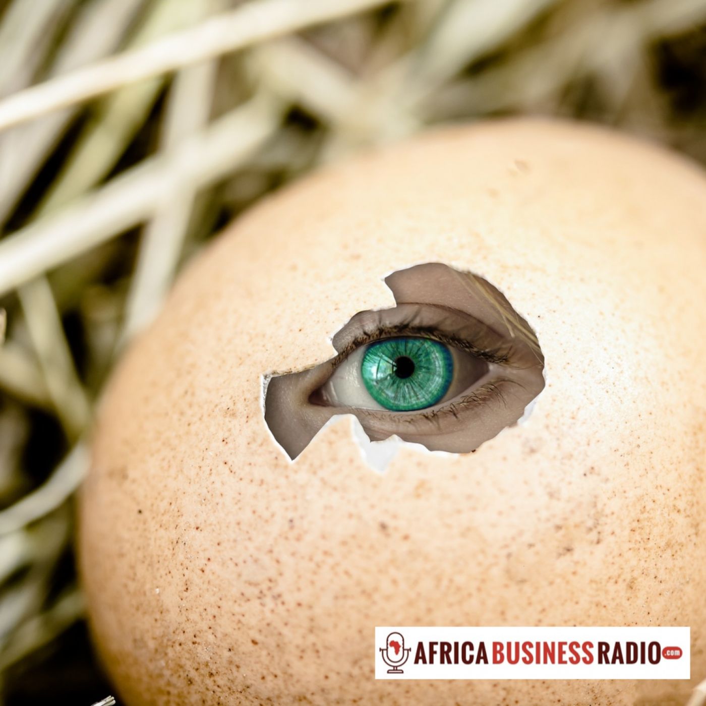 The Emerging Brands - What Does it Take To Break Through In Today’s Crowded Market? The Emerging Brands - What Does it Take To Break Through In Today’s Crowded Market?