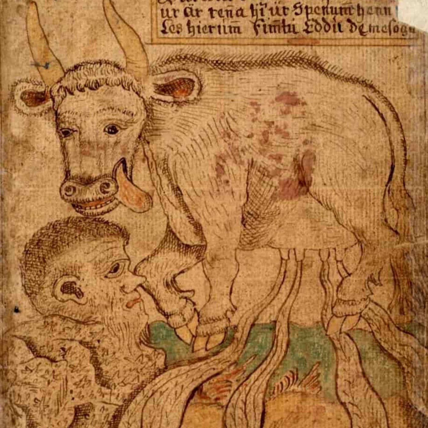 Lær norsk nå!