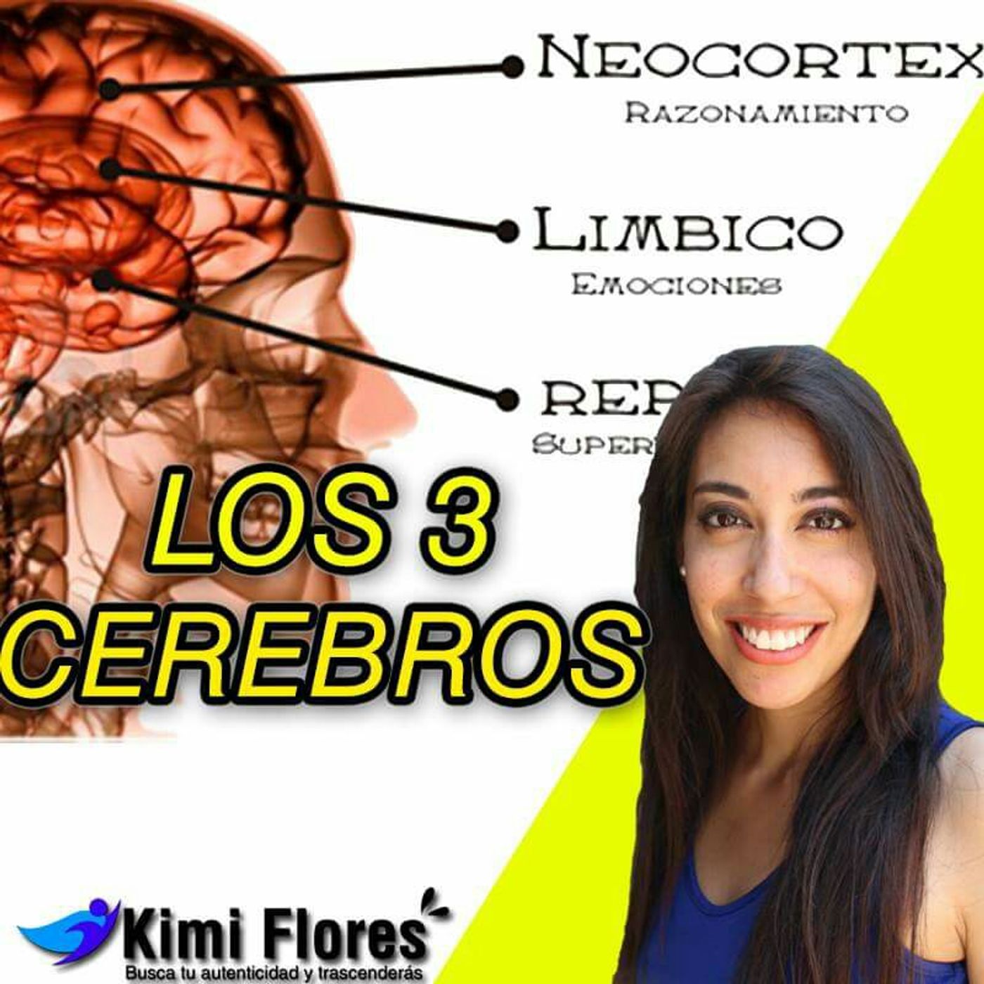 La Teoría De Los Tres Cerebros / Toma De Decisiones episode artwork