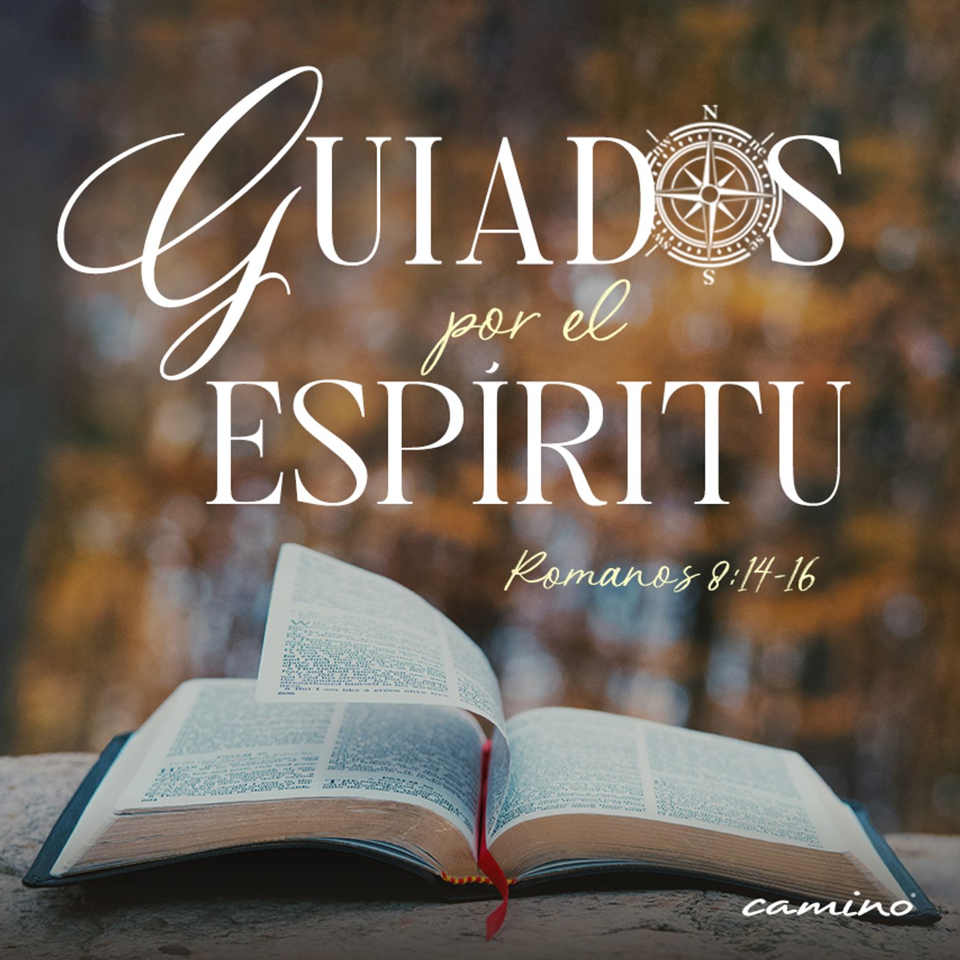 Oración 5 de noviembre (Guiados por el Espíritu) episode artwork