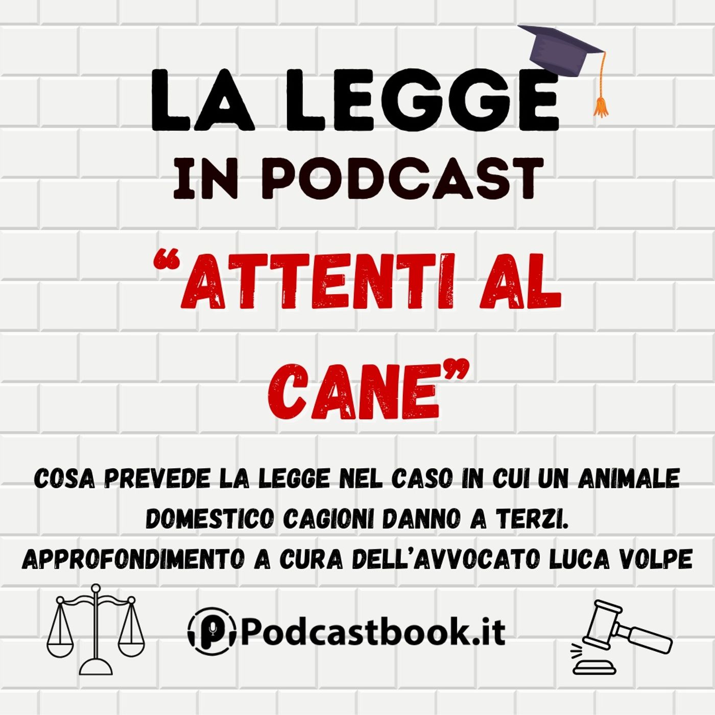 Attenti al cane! Cosa prevede la legge se un animale domestico cagiona danno a terzi Attenti al cane! Cosa prevede la legge se un animale domestico cagiona danno a terzi