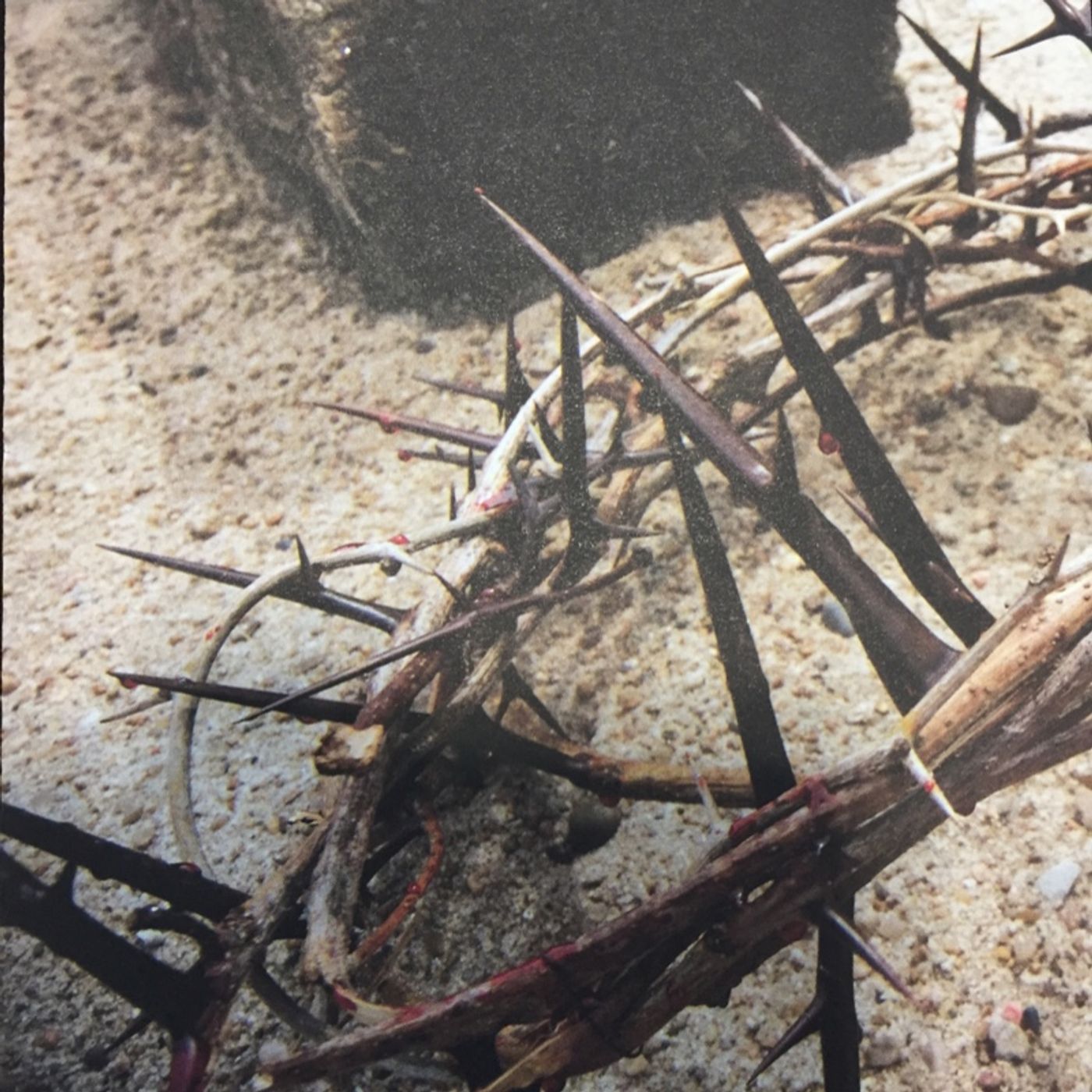 The Second Sunday in Lent episode artwork