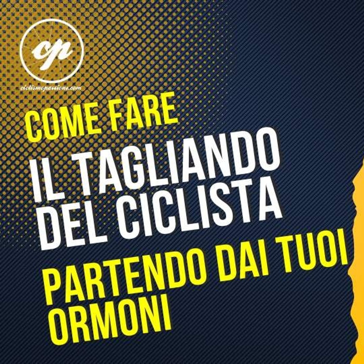 CiclismoPassione: Le migliori risorse per Vivere alla Grande la tua Passione