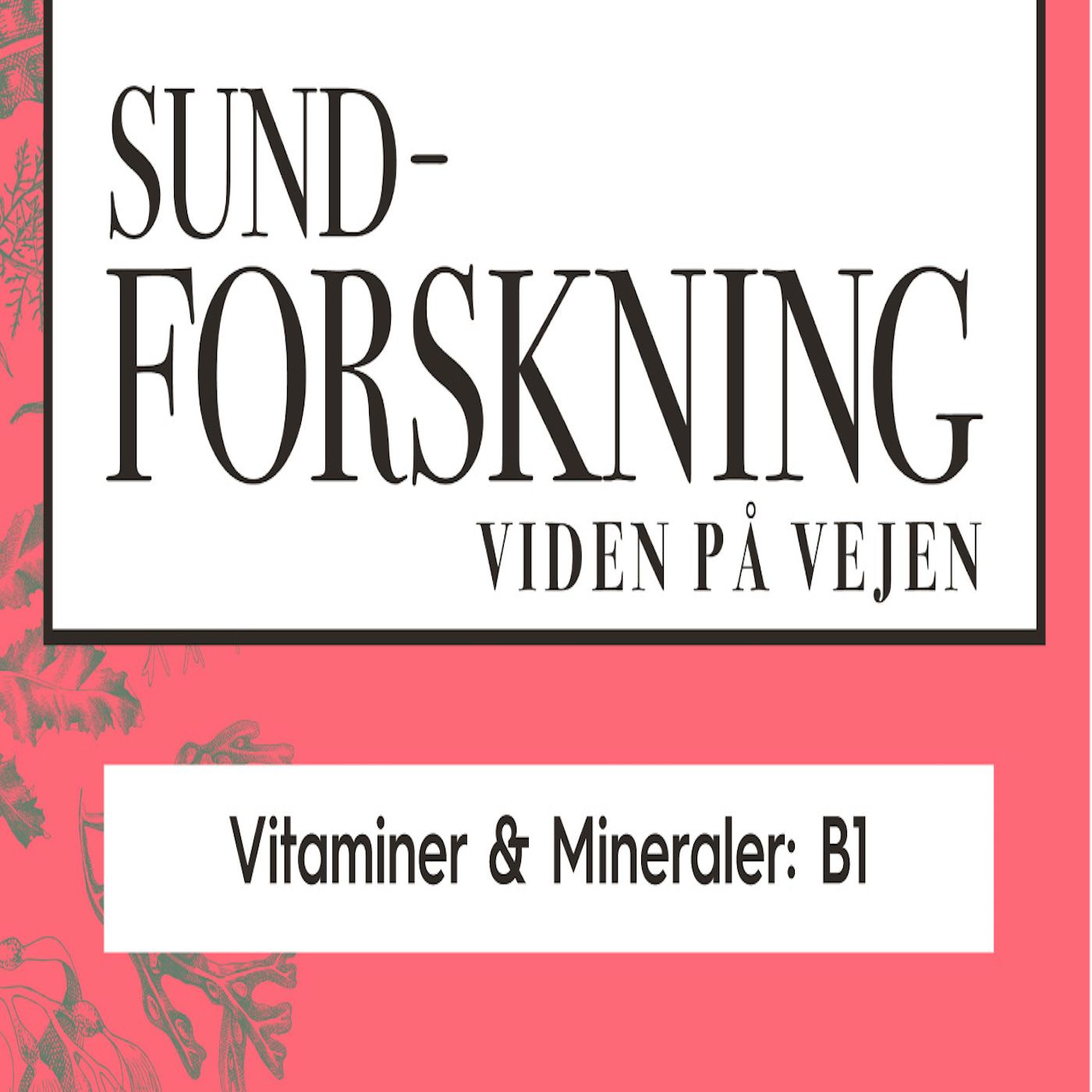Vitaminer & Mineraler: B1 episode artwork