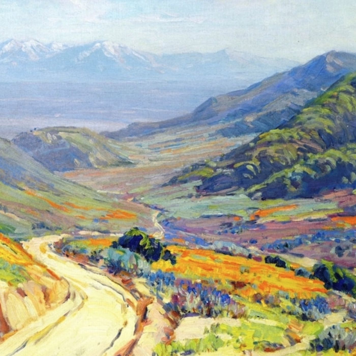 Gianluca Braschi: Non vedrò mai forse la California