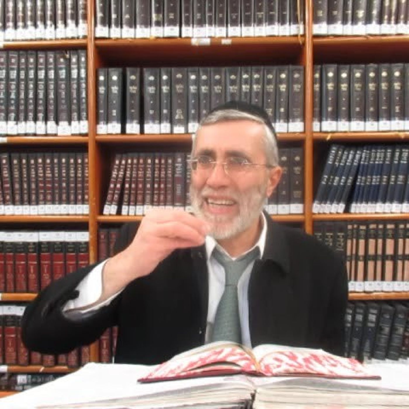 הרב יהושע ביבי -תשפ"ו -עמידה -שיעור מס' 114 - זיווג או''א בתיבת אבותינו ובקו''ה והנפק''מ להלכה episode artwork