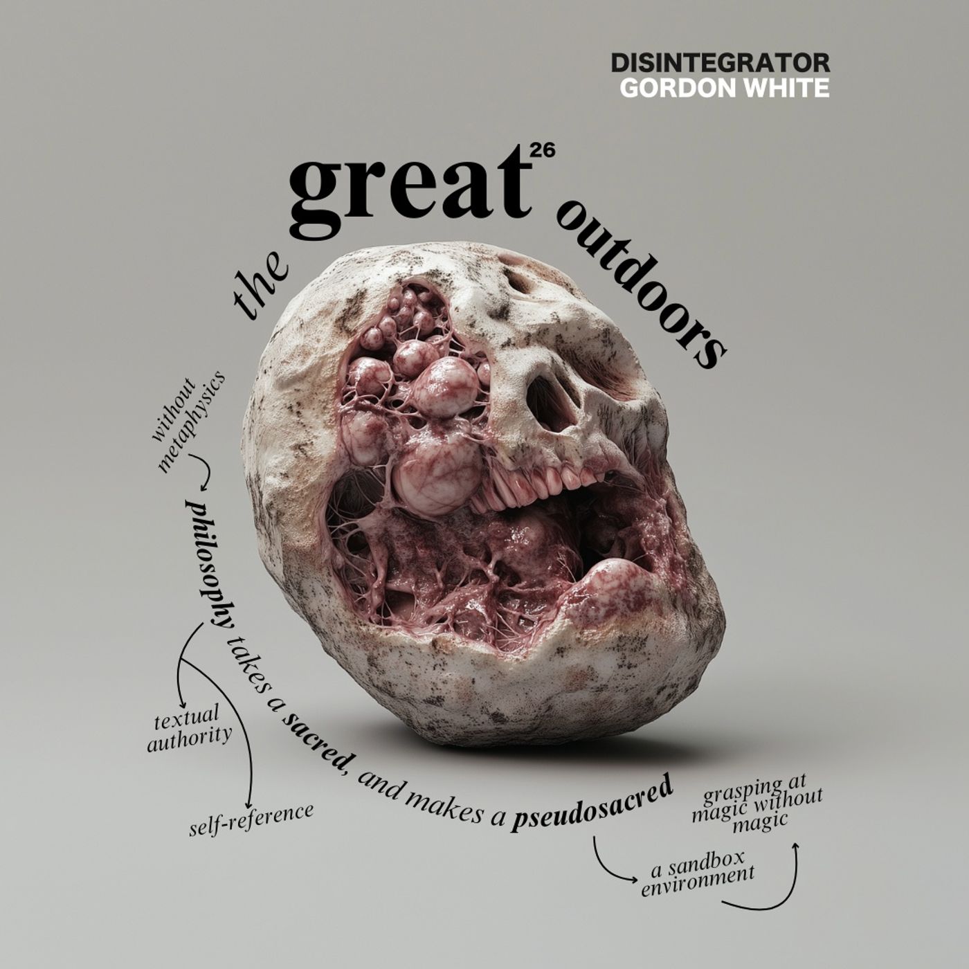 Disintegrator