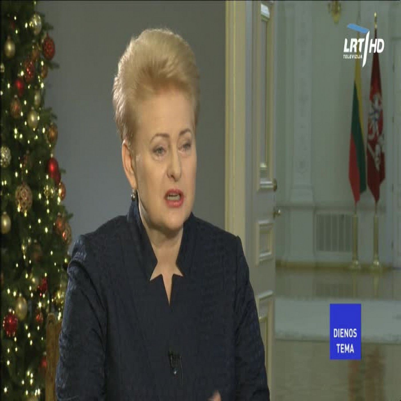 Dienos tema. D. Grybauskaitė episode artwork