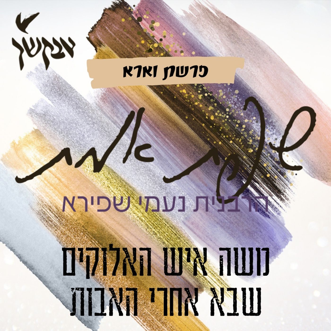 משה איש האלוקים שבא אחרי האבות | שפת אמת לפרשת וארא episode artwork