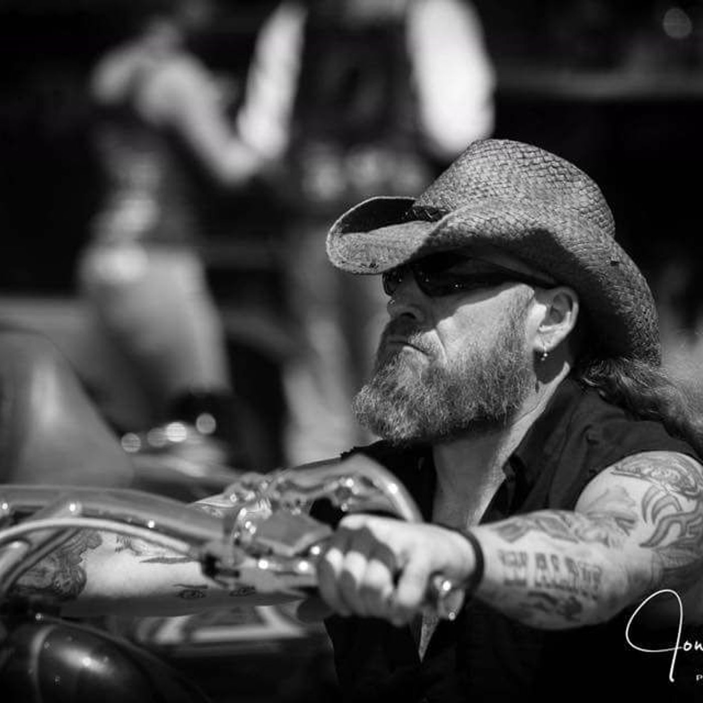 The Walrus Attacks cover art