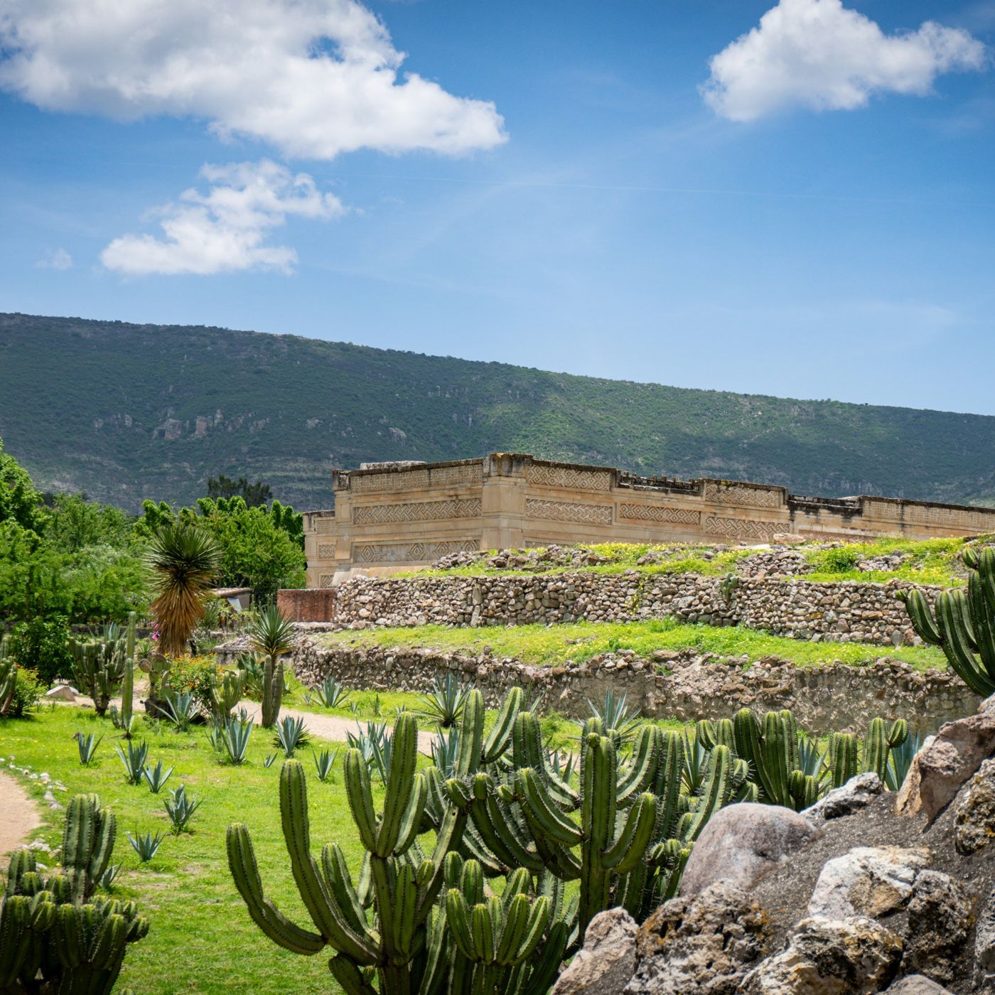 Las actividades económicas del México pr cover art
