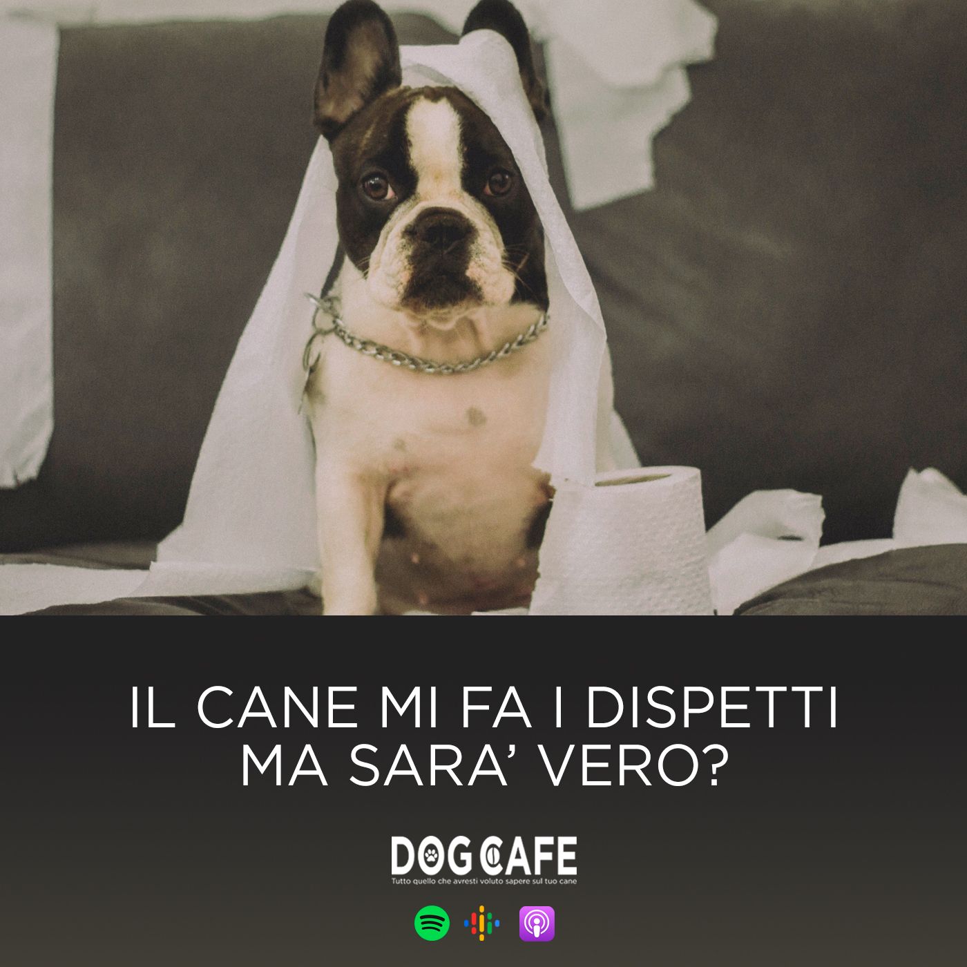 Dog Cafe Podcast