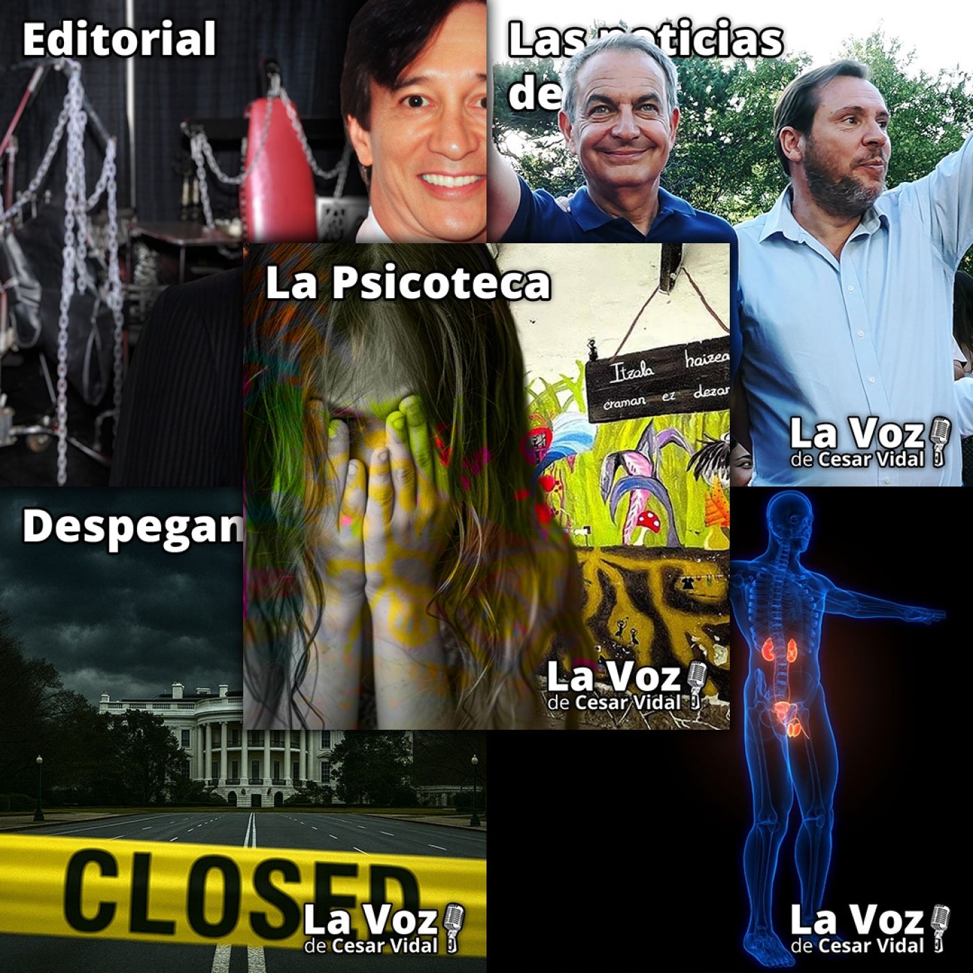 Programa Completo de La Voz de César Vidal - 01/10/25 episode artwork