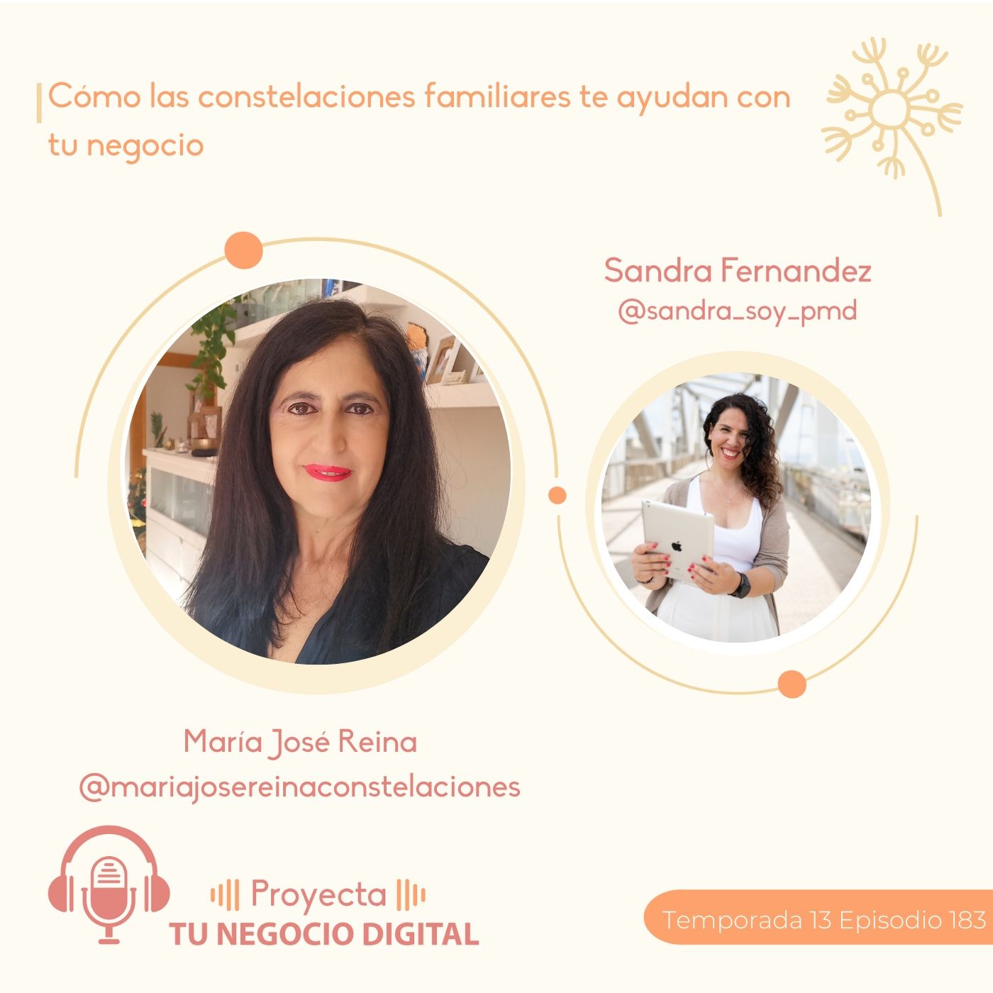 Cómo las constelaciones familiares te ayudan con tu negocio
