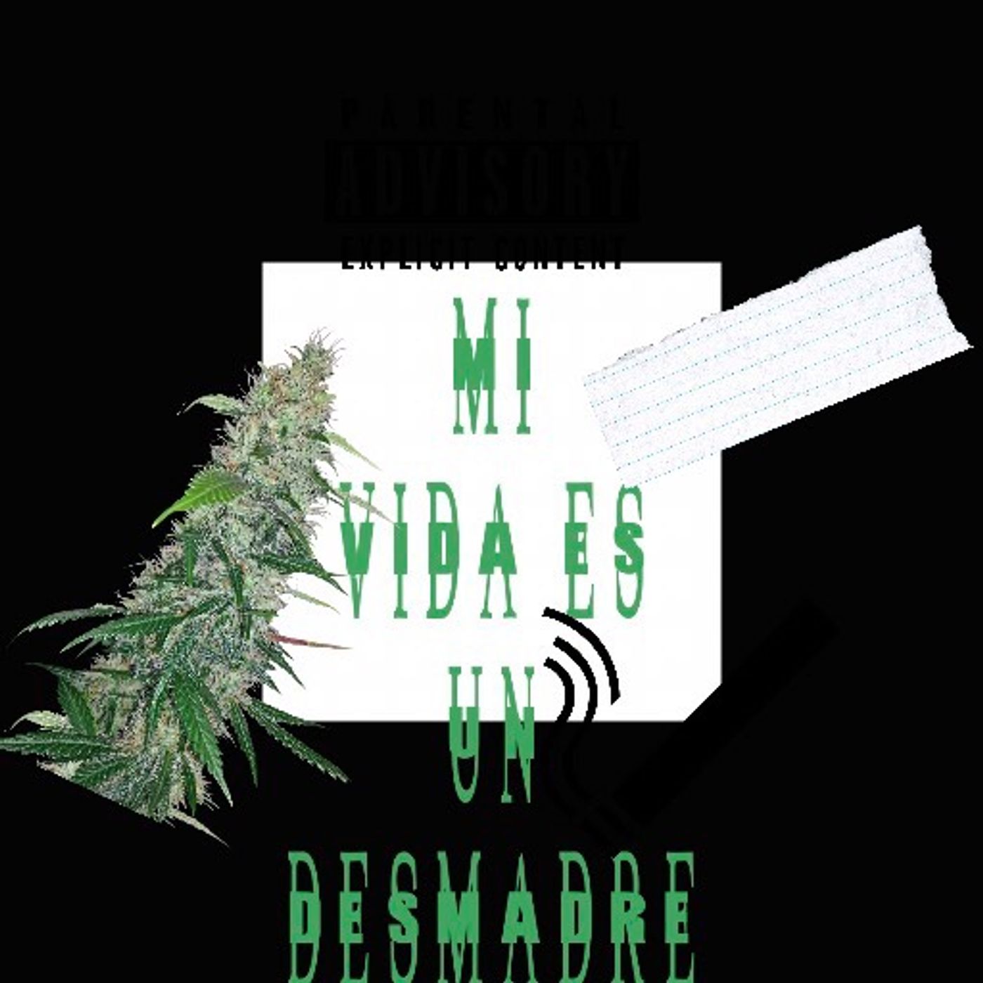 La Vida Es Un Desmadre
