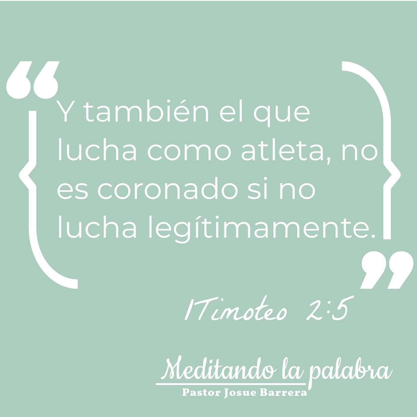 Meditando la palabra