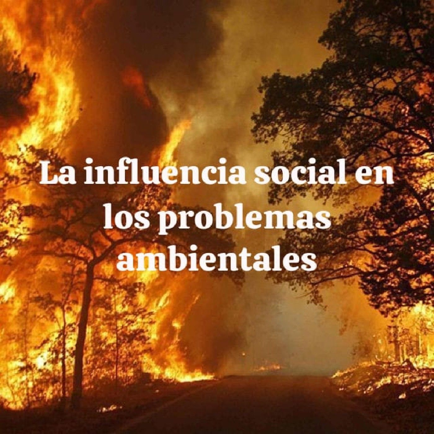 La sociedad en el Ambiente (Sofia Reyna) podcast artwork