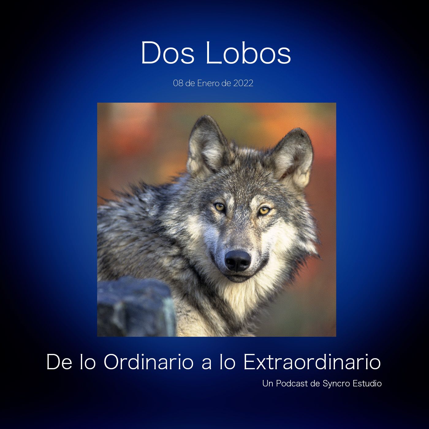 De lo Ordinario a lo Extraordinario