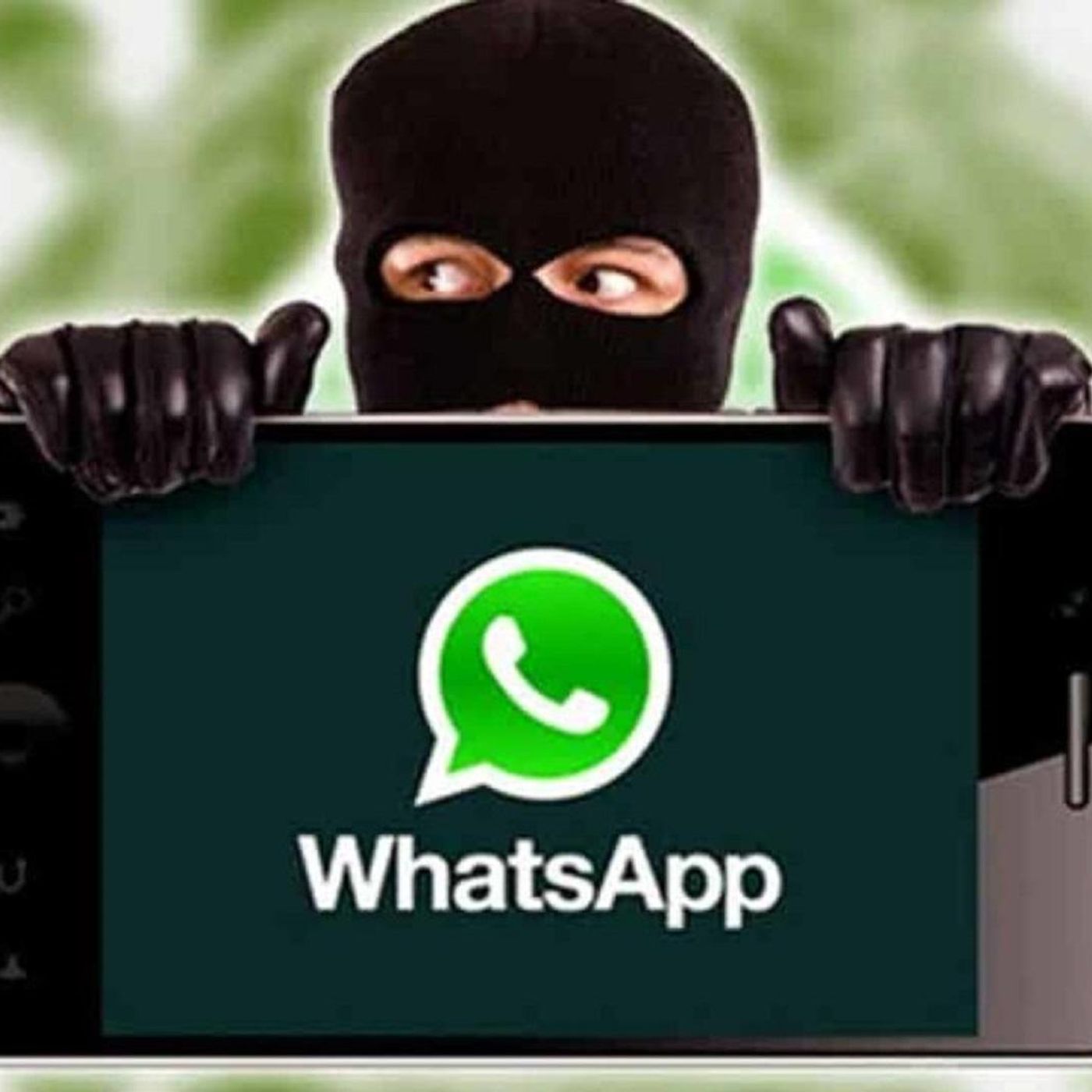 Cimino (Informatico): «Nel 2024 su WhatsApp il 20% in più di furti» episode artwork