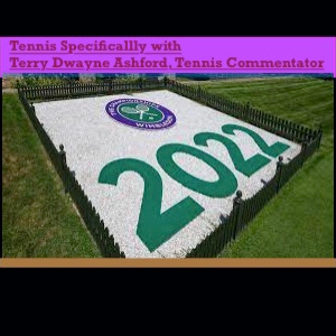 Tennis Specifically Terry Dwayne Ashford