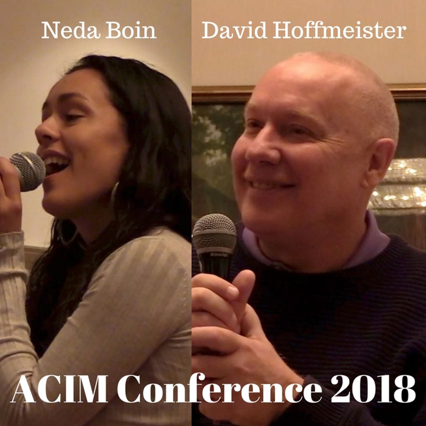 ACIM Conference, 2nd Full Talk - The "Seven Tribes of ACIM" and Love Makes No Exceptions episode artwork