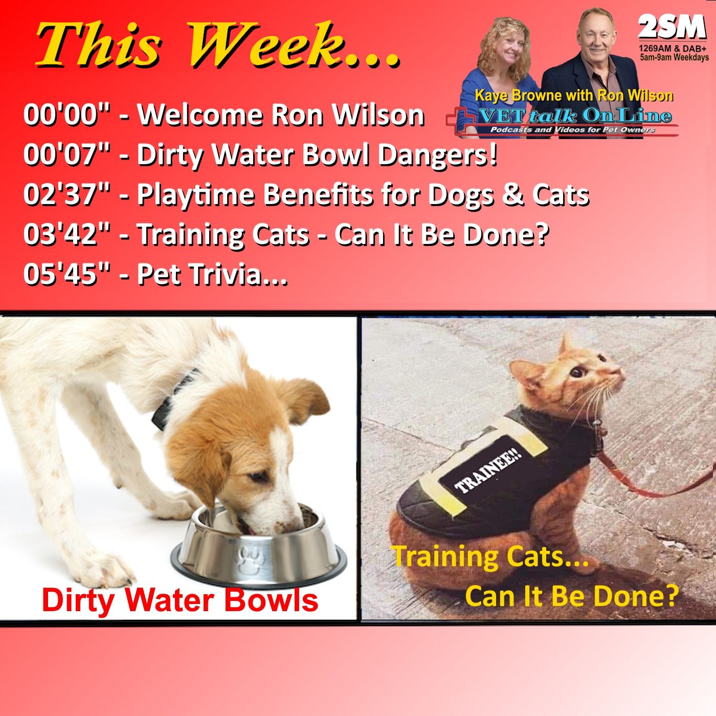 VET Talk Radio Podcasts