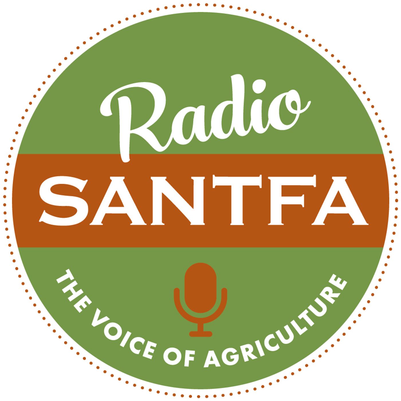 2019 SANTFA Conference Michael Hancock part2