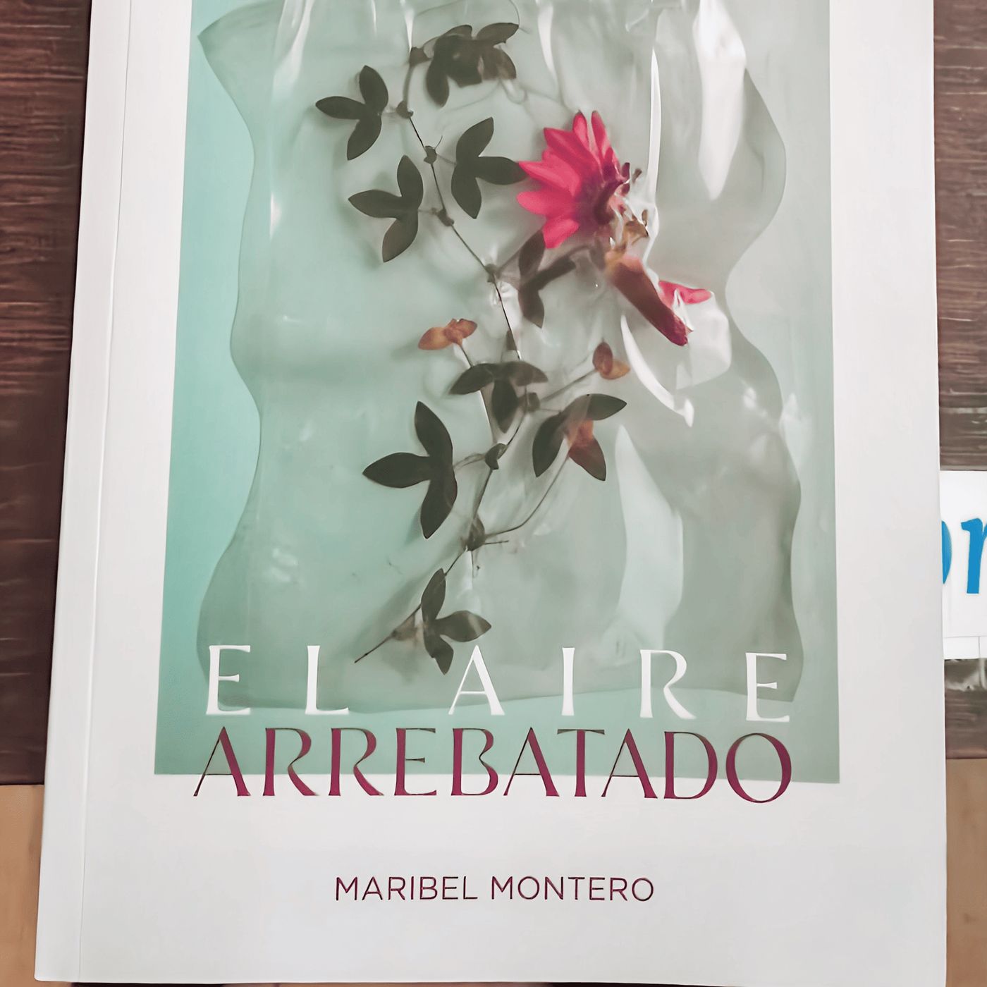 Hablando de Literatura