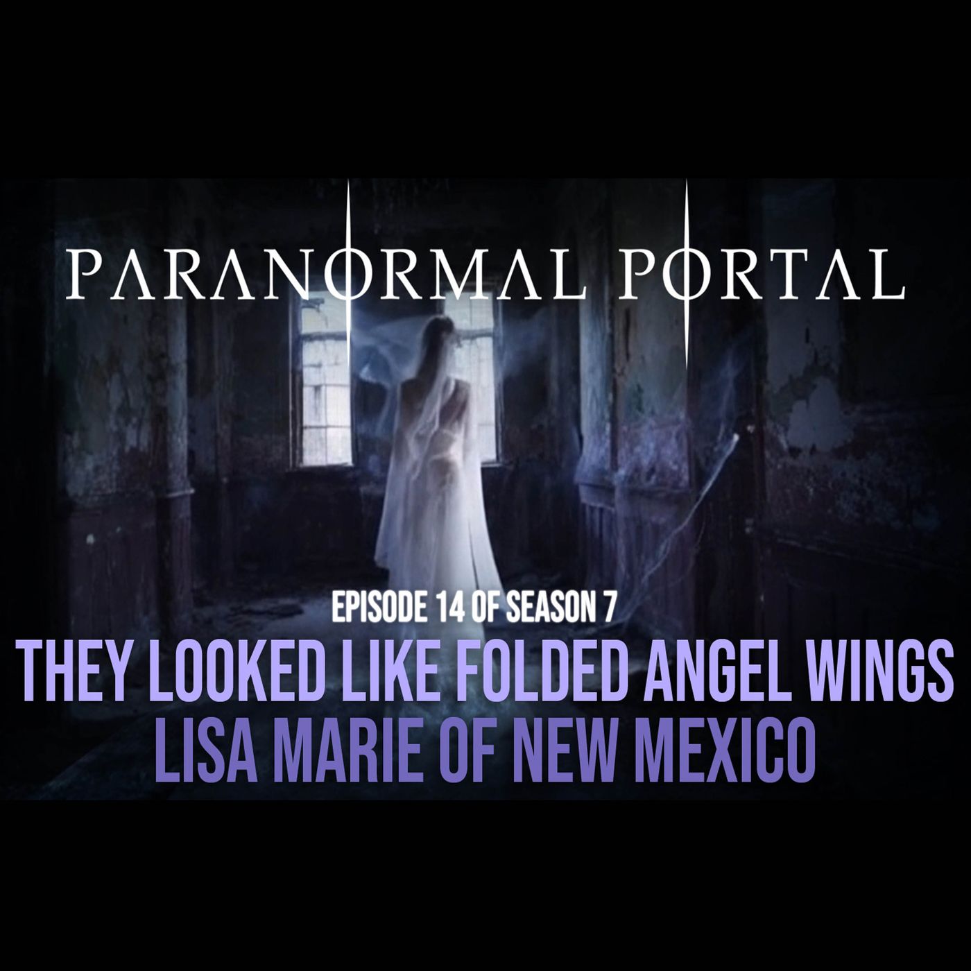 S7EP14 - They Looked Like Folded Angel Wings - Lisa Marie from New Mexico episode artwork