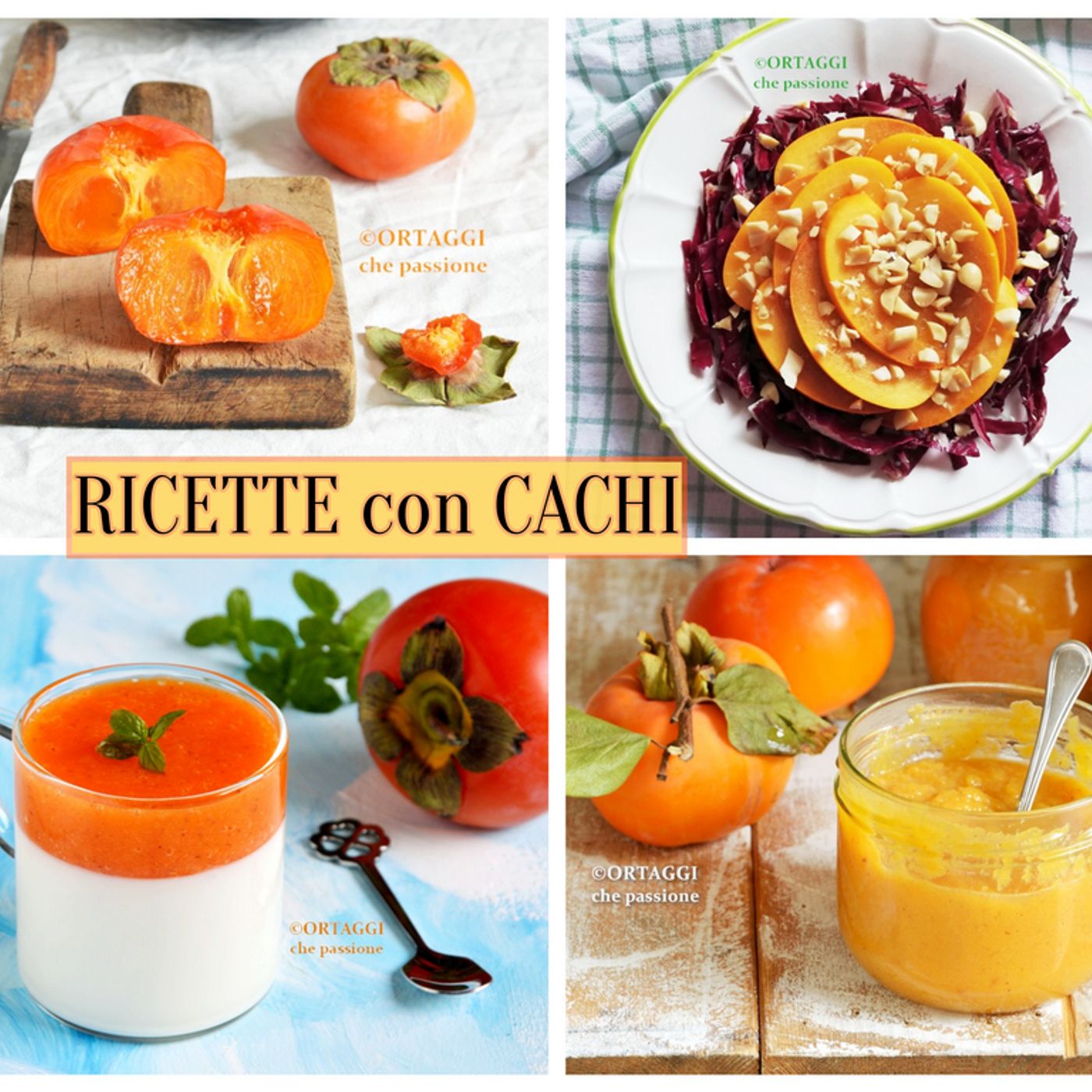 ORTAGGI che passione