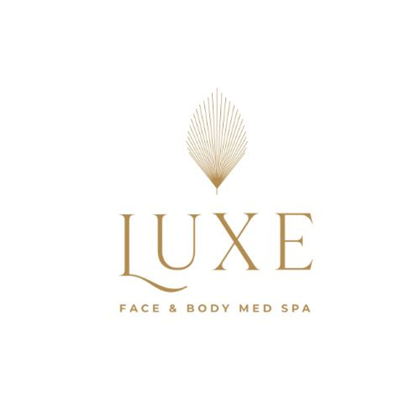 Luxe Face and Body Med Spa