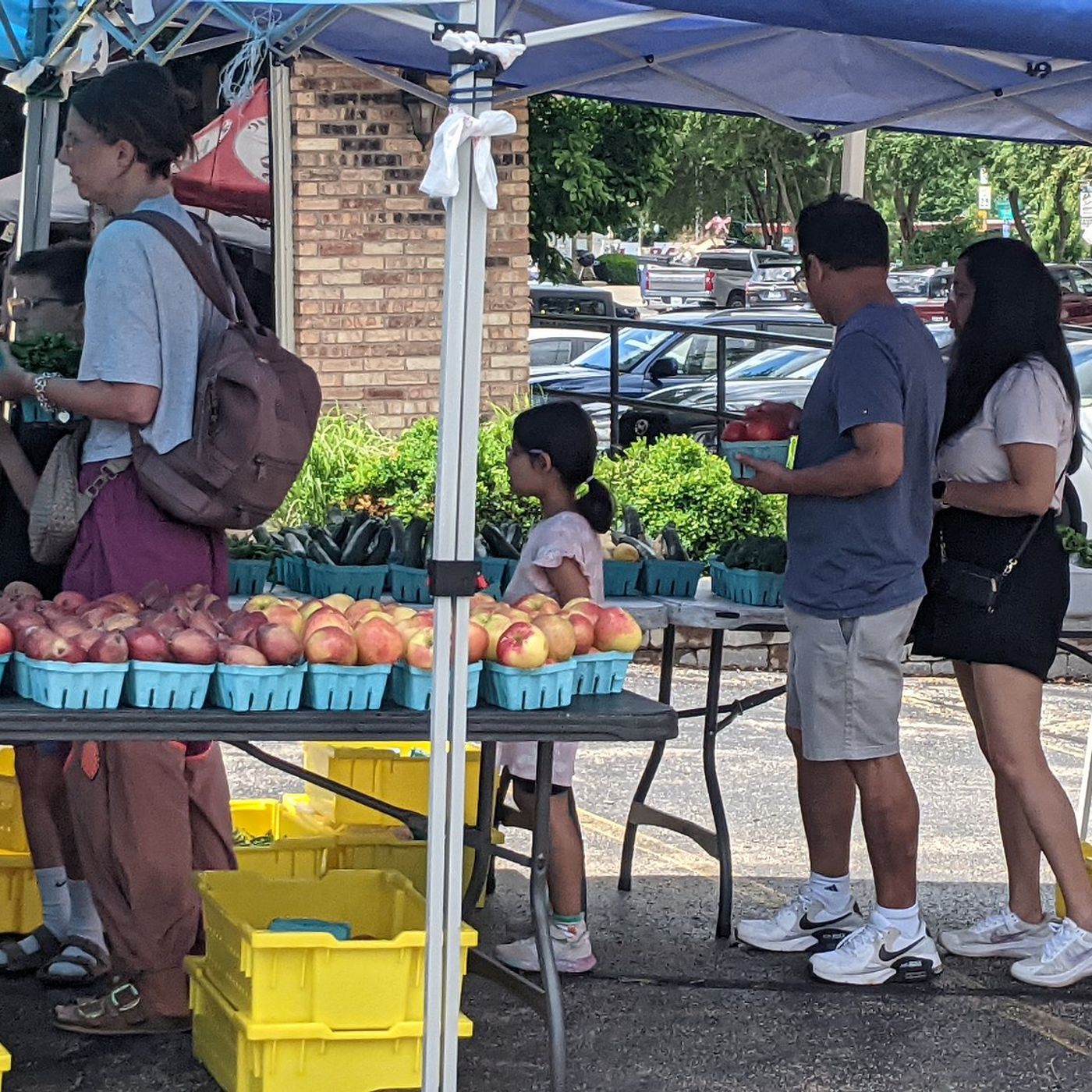 Still time to take in a farmers market in the Kendall County region episode artwork